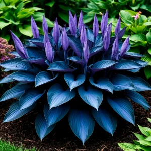 Хоста Сикрет Гров купить по цене от 570р. в интернет-магазине «Посадика» с доставкой почтой в в Малгобеке и по всей России – [изображение №1].